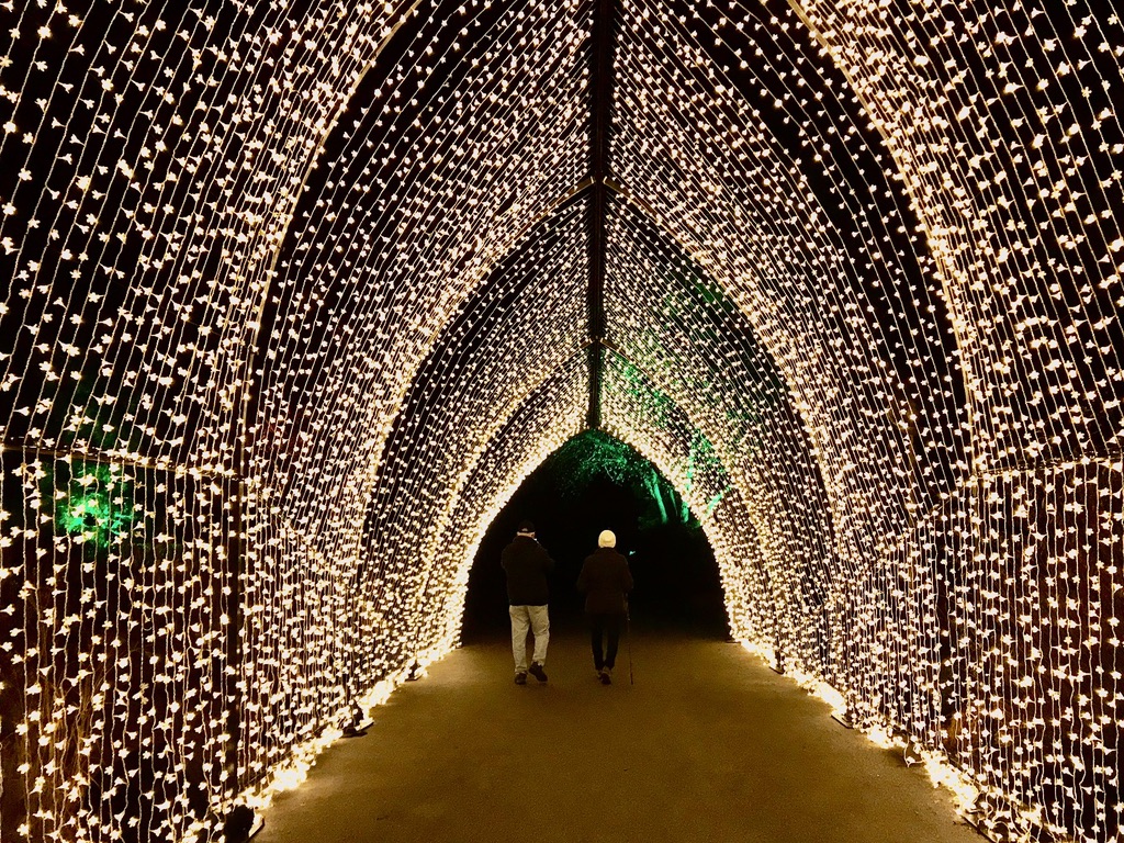 Lightscape At The Chicago Botanic Gardens - My Petite Joys